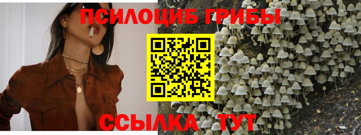 Псилоцибиновые грибы MAGIC MUSHROOMS Буйнакск